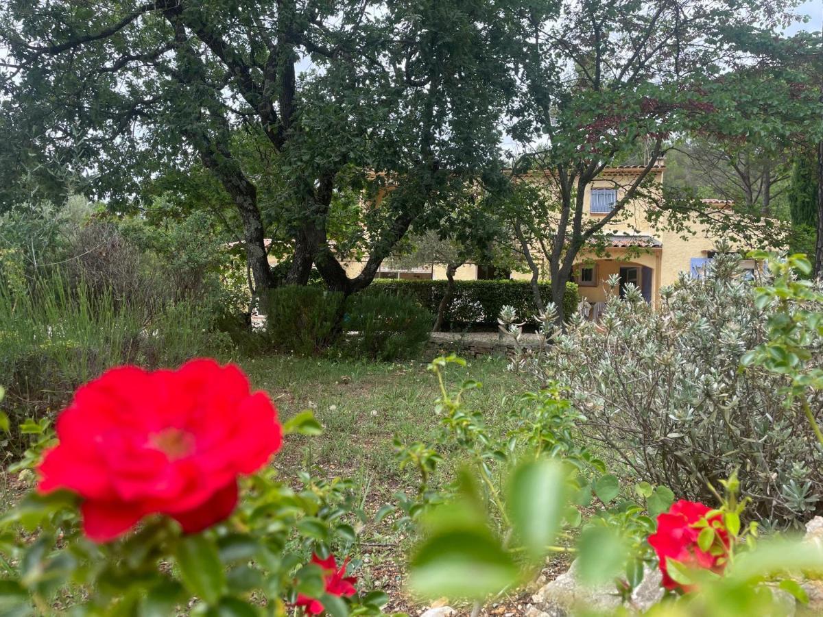 La Maison De La Cigale Forcalqueiret Экстерьер фото